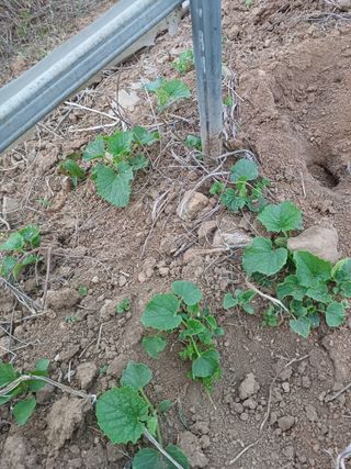 이정민님의 자유주제 · 자유게시판 작성글 사진