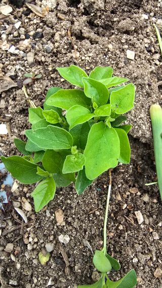 신종복님의 자유주제 · 자유게시판 작성글 사진