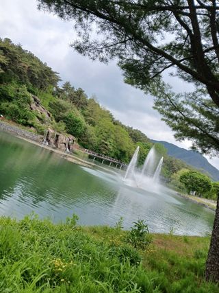 인생은 소풍처럼님의 자유주제 · 자유게시판 작성글 사진