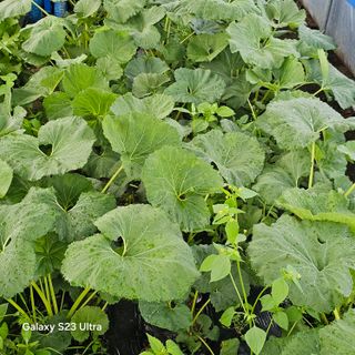 박용열조물주님 님의 자유주제 · 자유게시판 작성글 사진