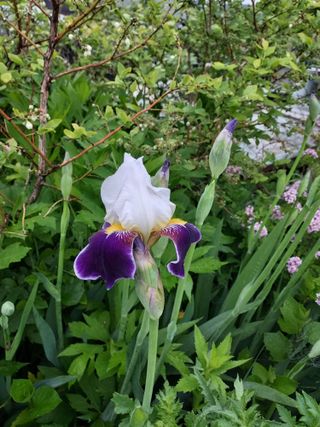 태일농산이정수님의 자유주제 · 자유게시판 작성글 사진