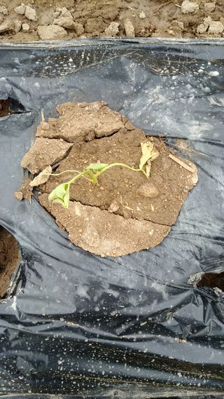 안병현님의 자유주제 · 자유게시판 작성글 사진