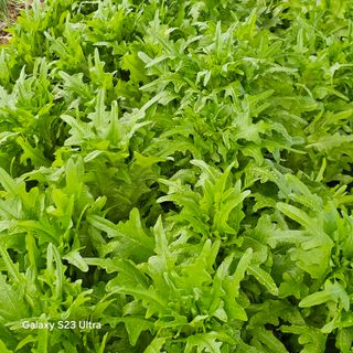 박용열조물주님 님의 자유주제 · 자유게시판 작성글 사진