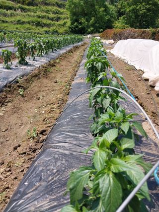 김정석님의 자유주제 · 자유게시판 작성글 사진