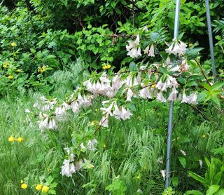 고추건조기부품판매님의 자유주제 · 자유게시판 작성글 사진