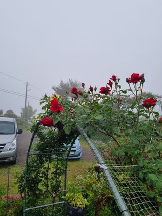 이남신님의 자유주제 · 자유게시판 작성글 사진