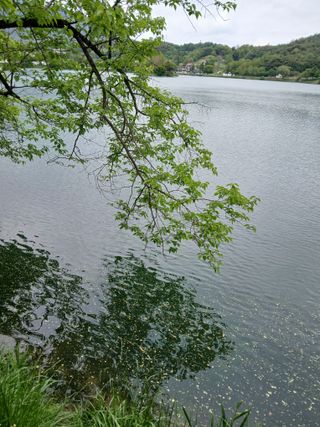 인생은 소풍처럼님의 자유주제 · 자유게시판 작성글 사진