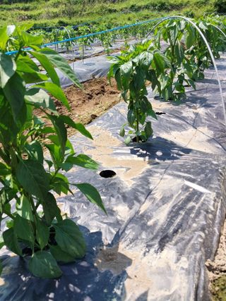 김정석님의 자유주제 · 자유게시판 작성글 사진