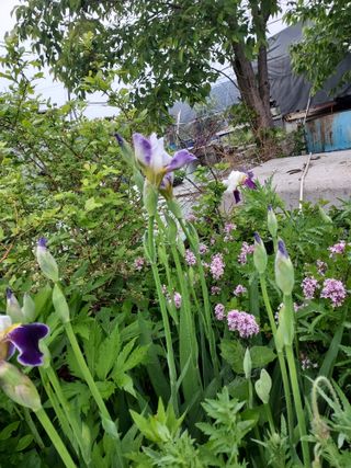 태일농산이정수님의 자유주제 · 자유게시판 작성글 사진