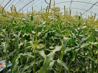 부농이네(이나영)님의 자유주제 · 자유게시판 작성글 사진