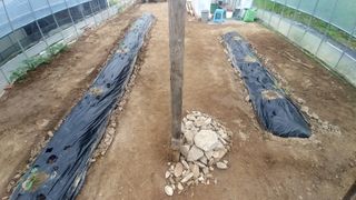 안병현님의 자유주제 · 자유게시판 작성글 사진