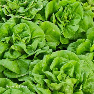 박용열조물주님 님의 자유주제 · 자유게시판 작성글 사진