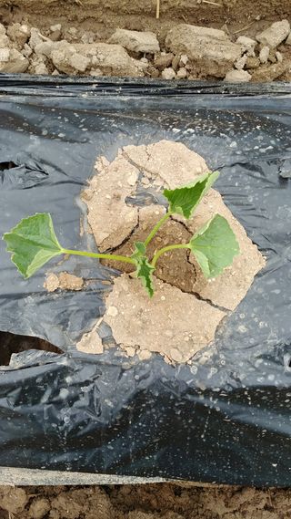 안병현님의 자유주제 · 자유게시판 작성글 사진