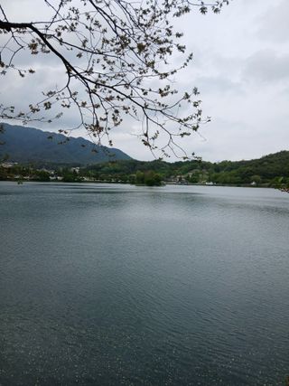 인생은 소풍처럼님의 자유주제 · 자유게시판 작성글 사진