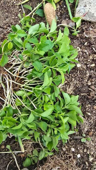 신종복님의 자유주제 · 자유게시판 작성글 사진