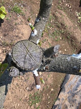 _고성농장님의 자유주제 · 자유게시판 작성글 사진