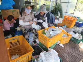 장수 팜 랜드님의 작성글 사진