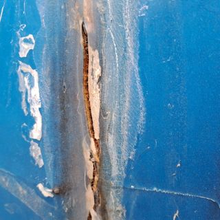 정강화님의 자유주제 · 자유게시판 작성글 사진