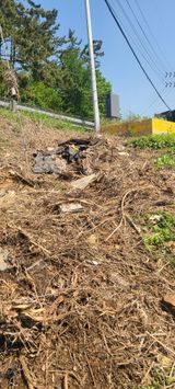 팜모닝 자유주제·자유게시판 게시글 이미지