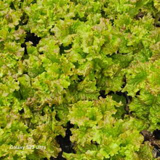 박용열조물주님 님의 자유주제 · 자유게시판 작성글 사진