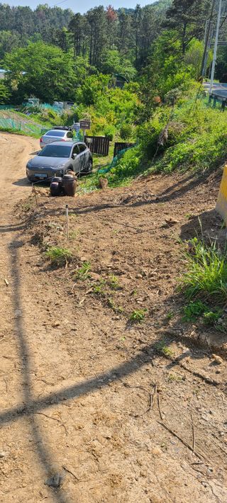 정응화님의 자유주제 · 자유게시판 작성글 사진