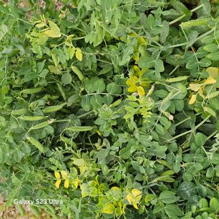 박용열조물주님 님의 자유주제 · 자유게시판 작성글 사진