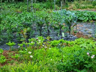 이남신님의 자유주제 · 자유게시판 작성글 사진
