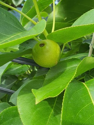 하나라도 소중하게님의 배 · 일상 작성글 사진