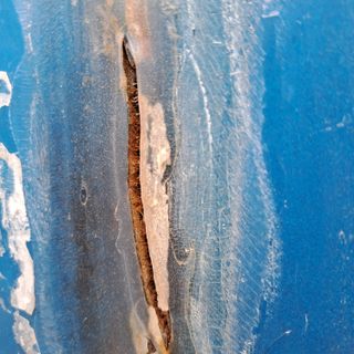 정강화님의 자유주제 · 자유게시판 작성글 사진