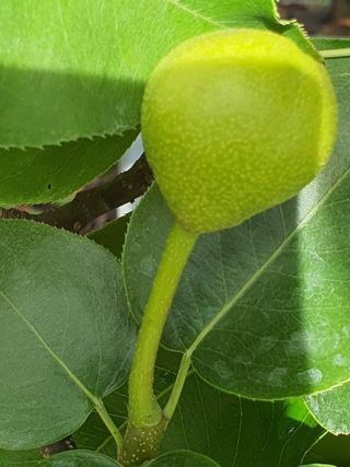 하나라도 소중하게님의 배 · 일상 작성글 사진