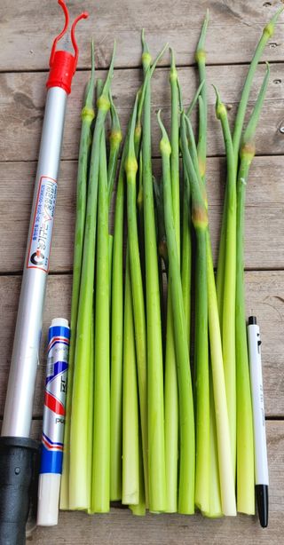 심기섭님의 자유주제 · 자유게시판 작성글 사진