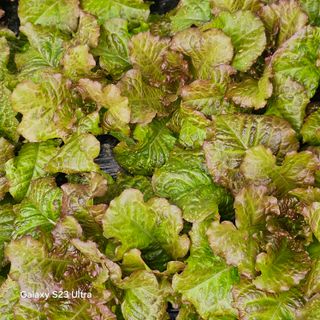 박용열조물주님 님의 자유주제 · 자유게시판 작성글 사진