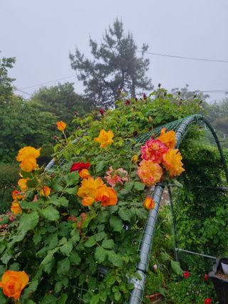 이남신님의 자유주제 · 자유게시판 작성글 사진