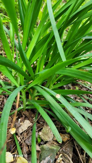 박형서님의 농사, 무엇이든 물어보세요! · 참여글 작성글 사진