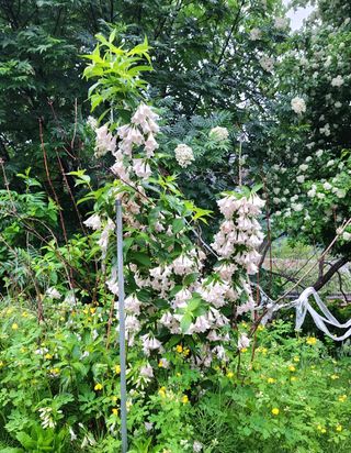 고추건조기부품판매님의 자유주제 · 자유게시판 작성글 사진