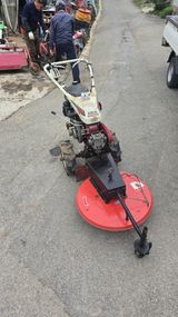 팜모닝 · 게시글 이미지