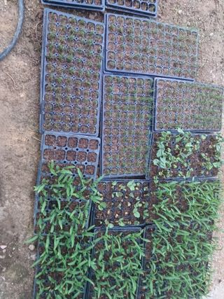 이정민님의 자유주제 · 자유게시판 작성글 사진