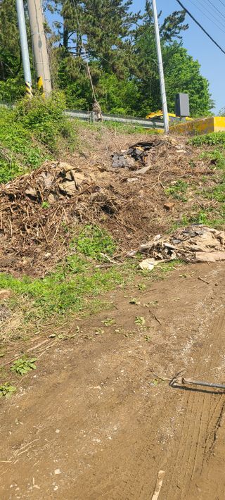 정응화님의 자유주제 · 자유게시판 작성글 사진