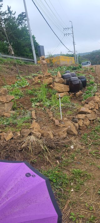 정응화님의 자유주제 · 자유게시판 작성글 사진