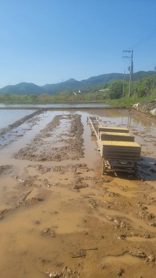 권리를위한투쟁님의 자유주제 · 자유게시판 작성글 사진