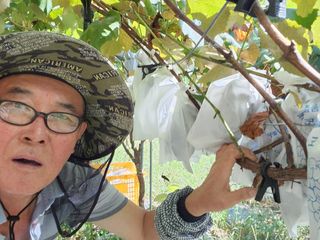 장수 팜 랜드님의 작성글 사진