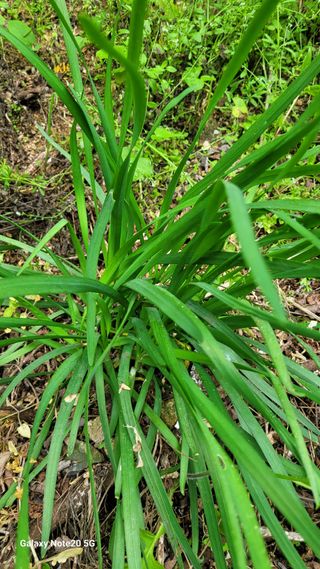 박형서님의 농사, 무엇이든 물어보세요! · 참여글 작성글 사진