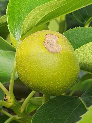 하나라도 소중하게님의 배 · 일상 작성글 사진