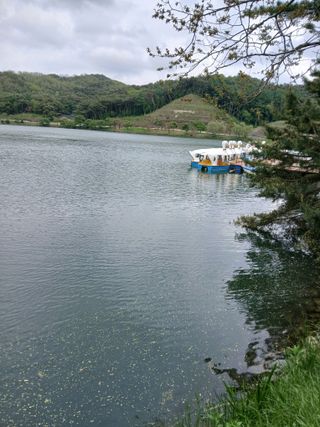 인생은 소풍처럼님의 자유주제 · 자유게시판 작성글 사진