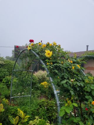 이남신님의 자유주제 · 자유게시판 작성글 사진