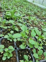 팜모닝 자유주제·자유게시판 게시글 이미지