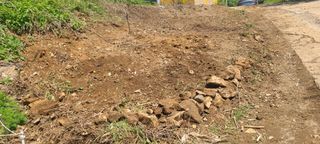 정응화님의 자유주제 · 자유게시판 작성글 사진