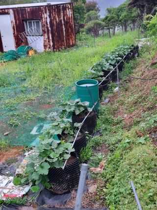 이남신님의 자유주제 · 자유게시판 작성글 사진