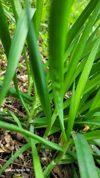 박형서님의 농사, 무엇이든 물어보세요! · 참여글 작성글 사진