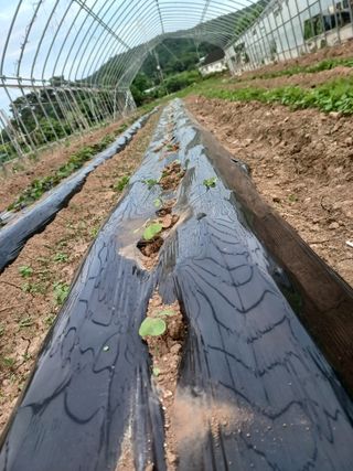 이정민님의 자유주제 · 자유게시판 작성글 사진